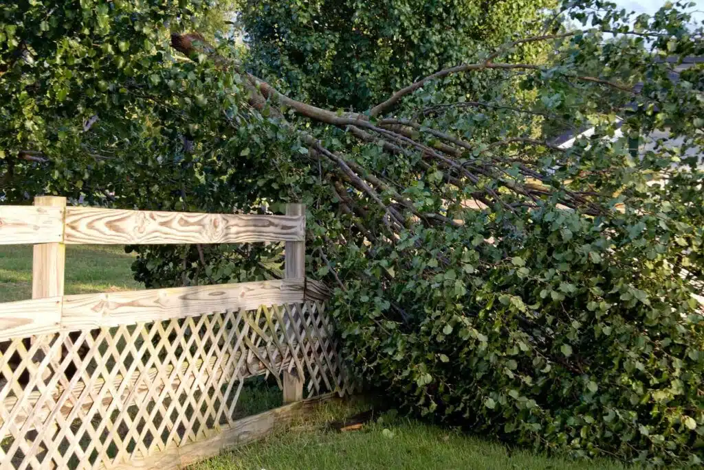 Fix My Fence