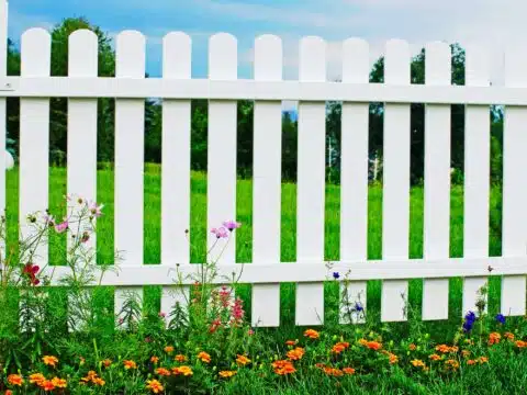 Wood vs. Vinyl Fencing