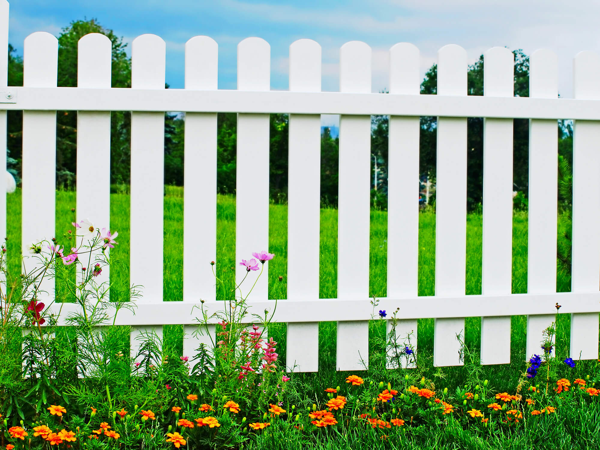 Wood vs. Vinyl Fencing