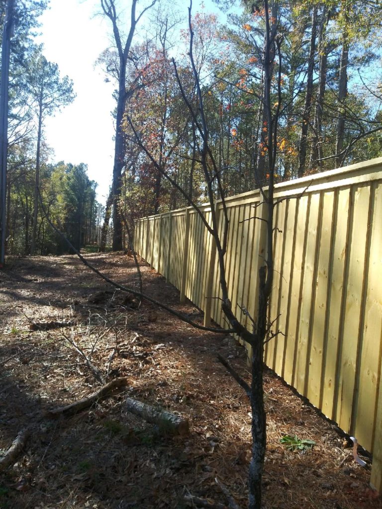 wooden backyard fence