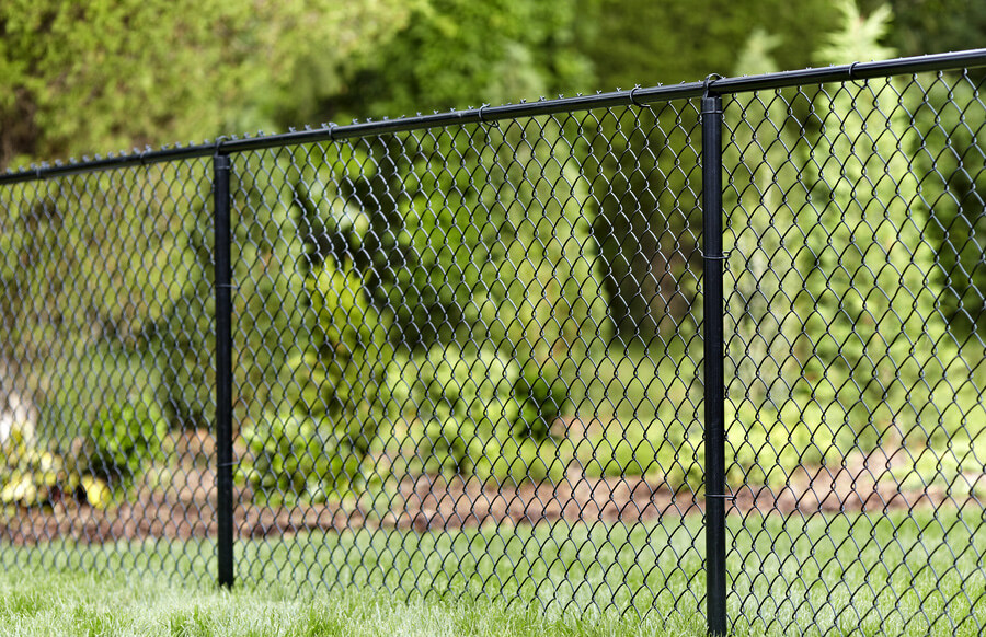 A black chain link backyard fence