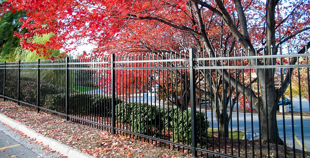 Metal spear-top fence in front of a tree in autumn