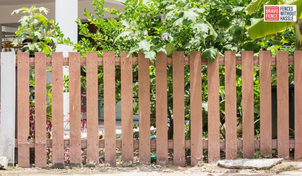 Different Types of Wood For Fences – Which One is Right for You?