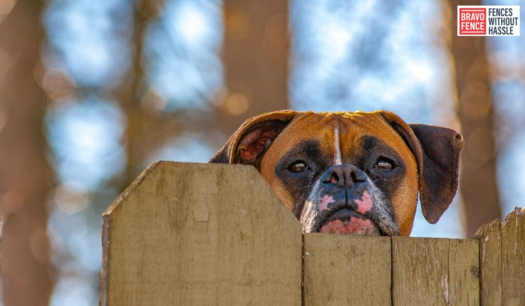 best material for a dog fence