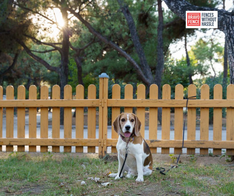 Pawsitively Perfect: Dog Run Fence Ideas for Happy and Safe Pups