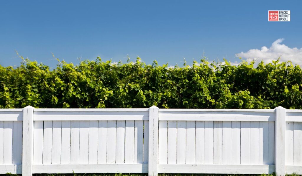 Common Fence Types