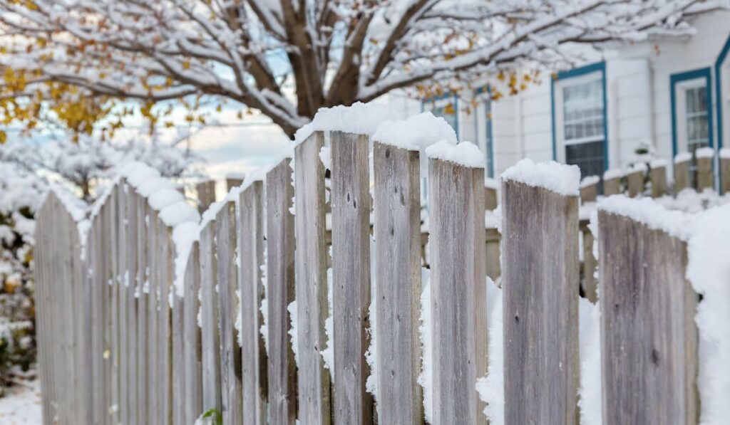 Yard Fence