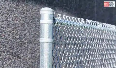 Curb Appeal with Chainlink Fences