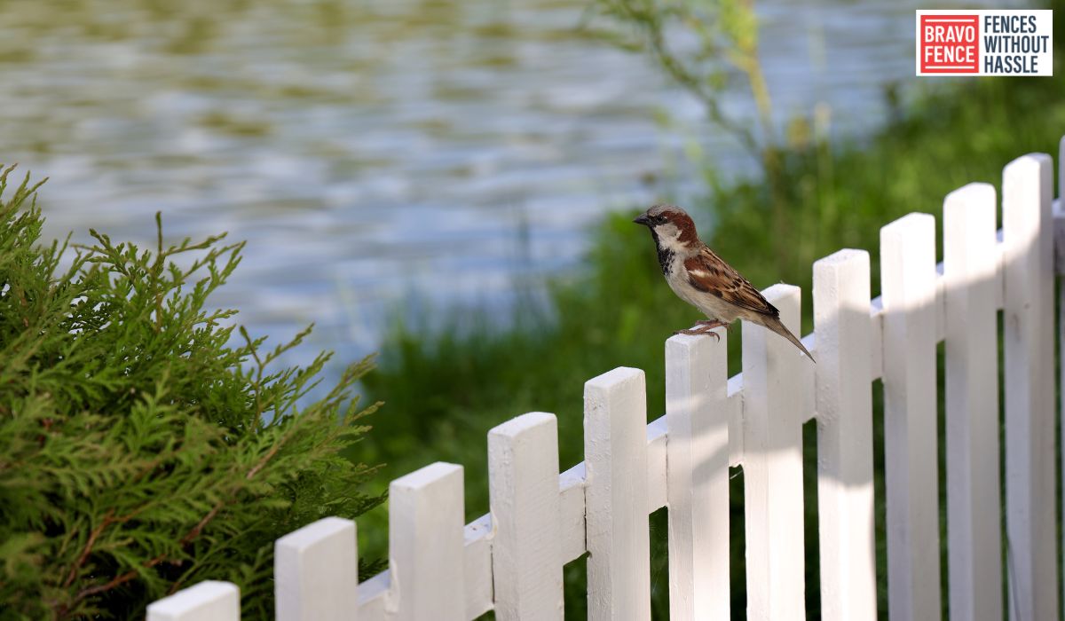 fence company in sandy springs