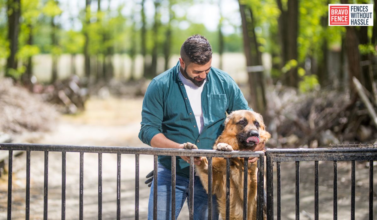 best material for a dog fence