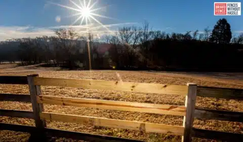 Professional Fence Repairs Near Me