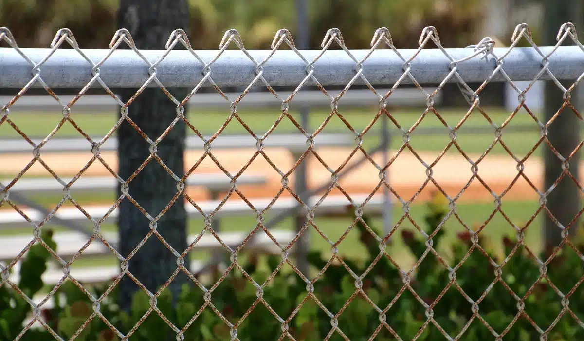 Chain Link Fence Ideas