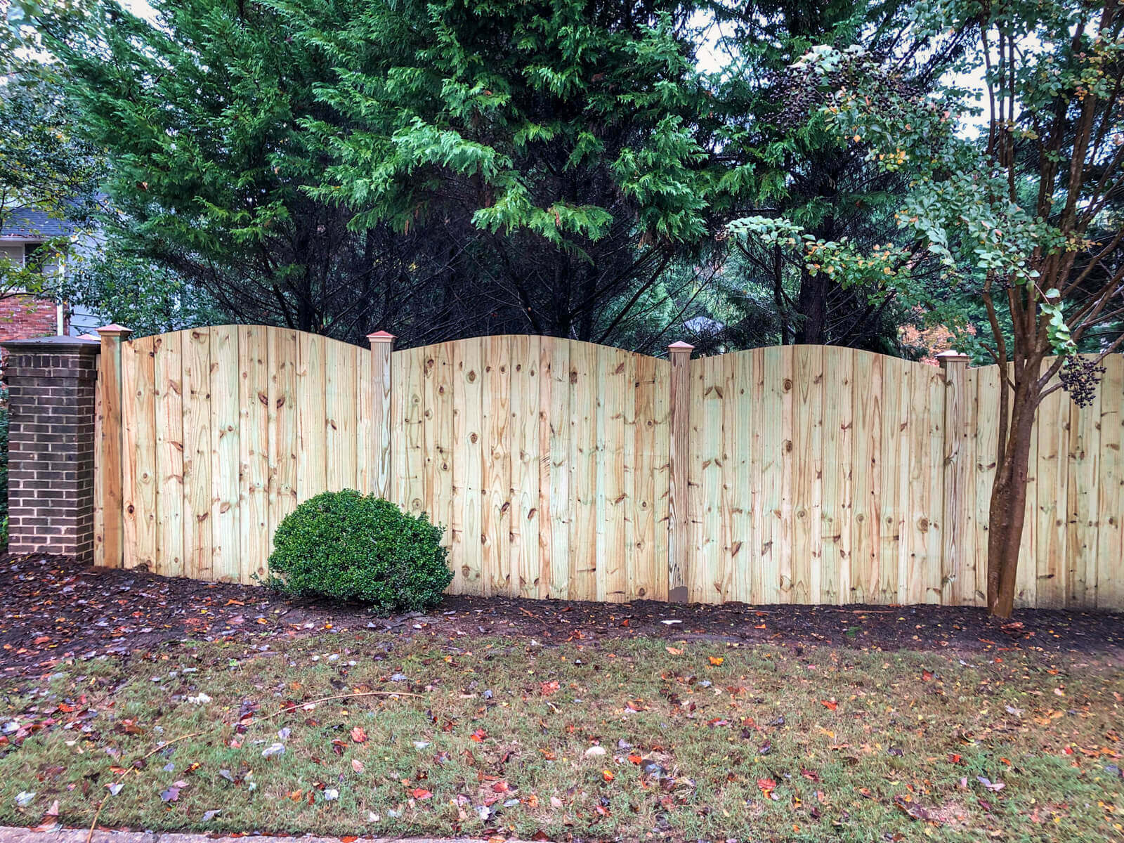 Arched Privacy Copper Cap Wood Fence