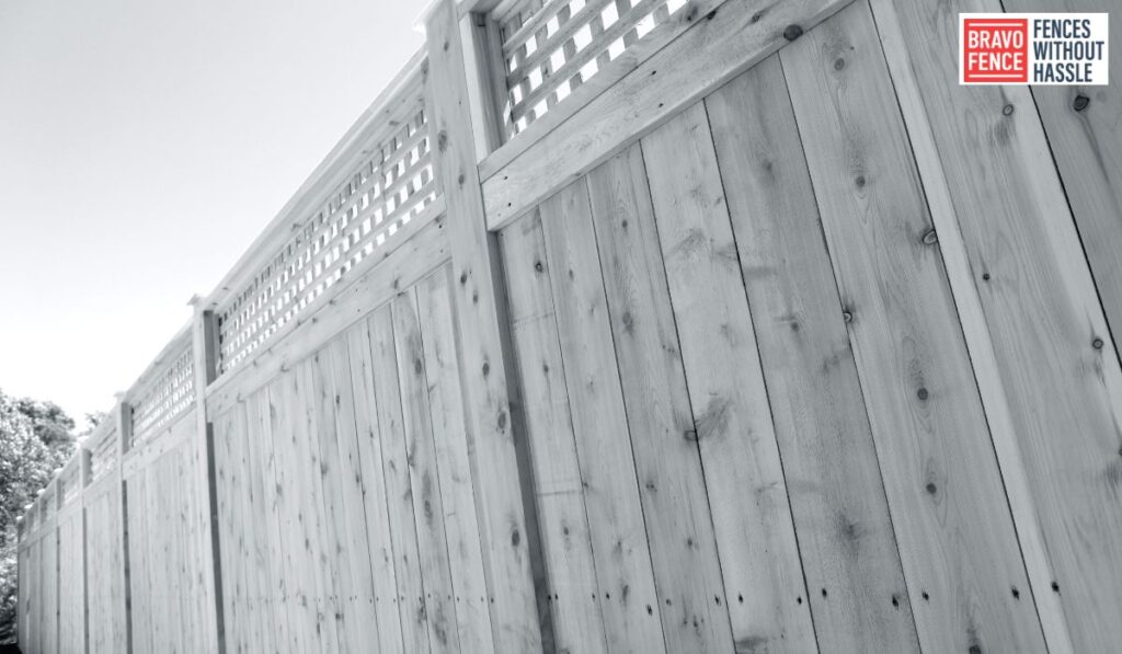 Cedar Fence Maintenance