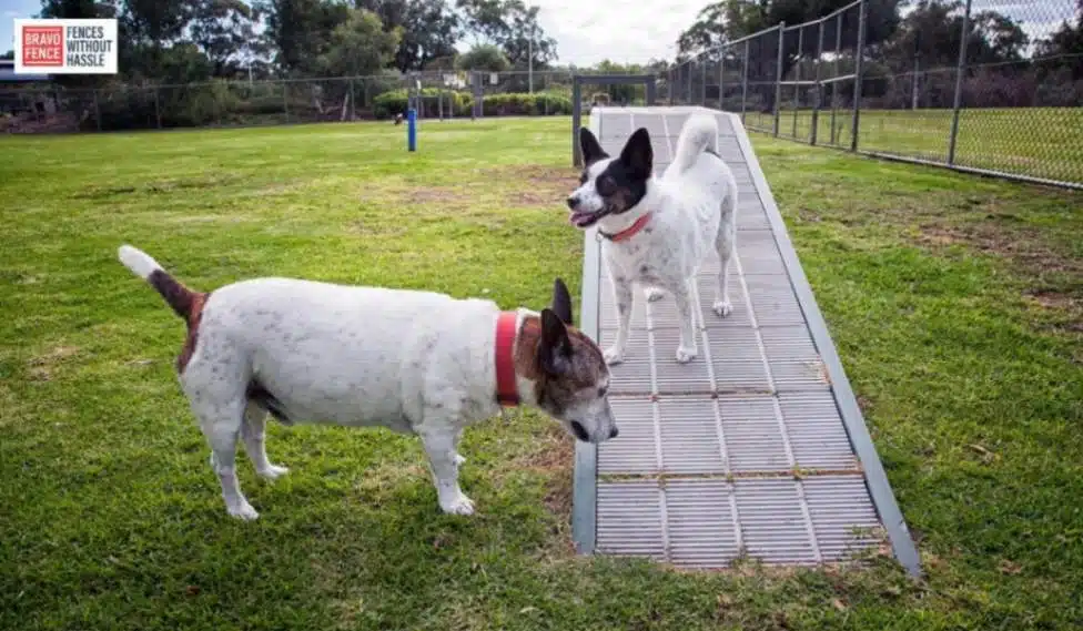 Dog-Friendly Fenced Yard