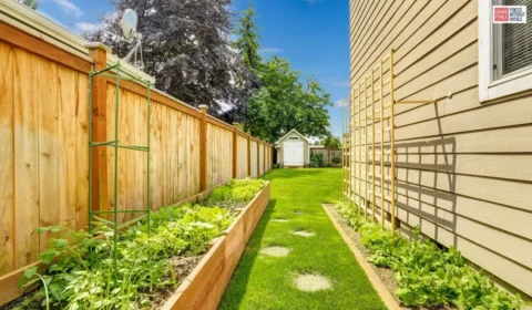 Backyard Wood Fence