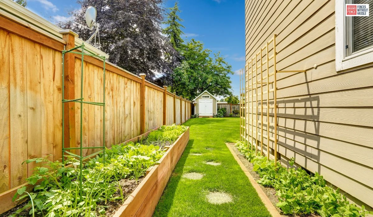 Backyard Wood Fence