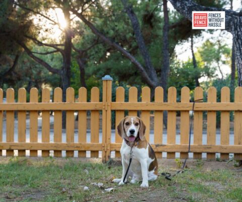 Dog Run Fence