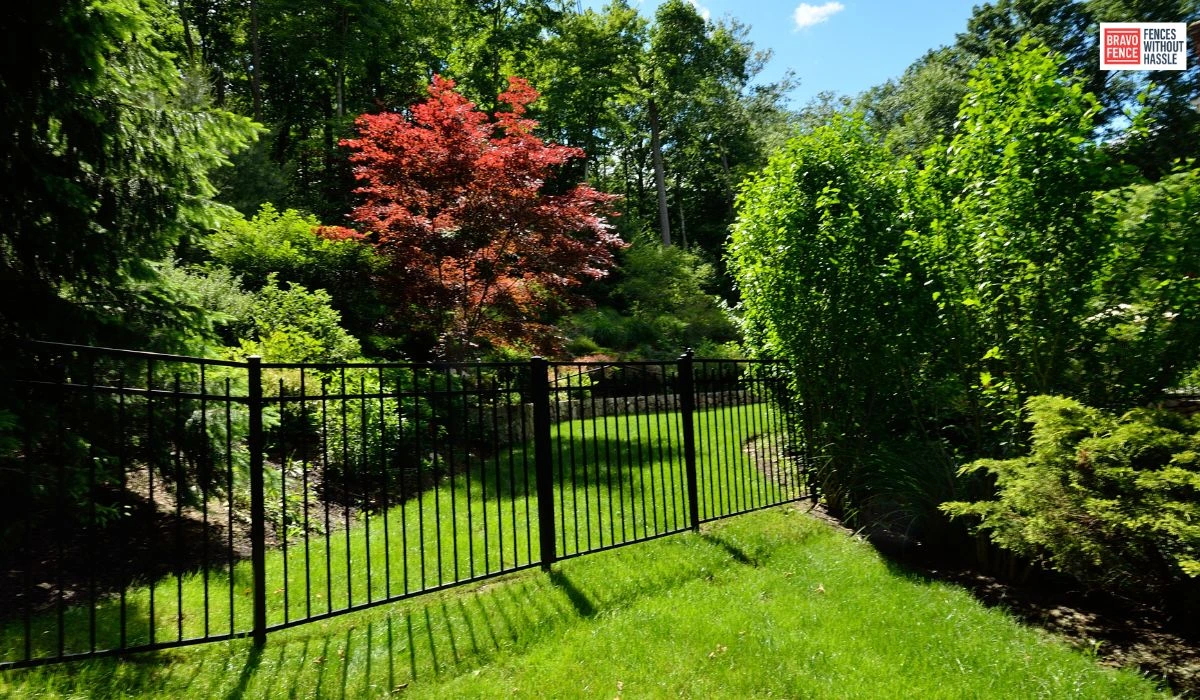 Landscaping and Fencing