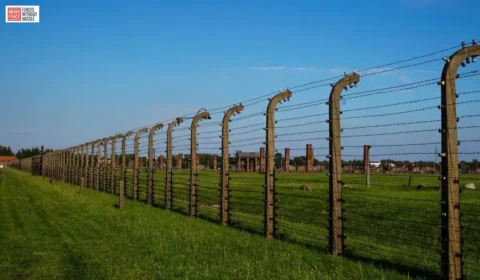 Uses of Wire Fences