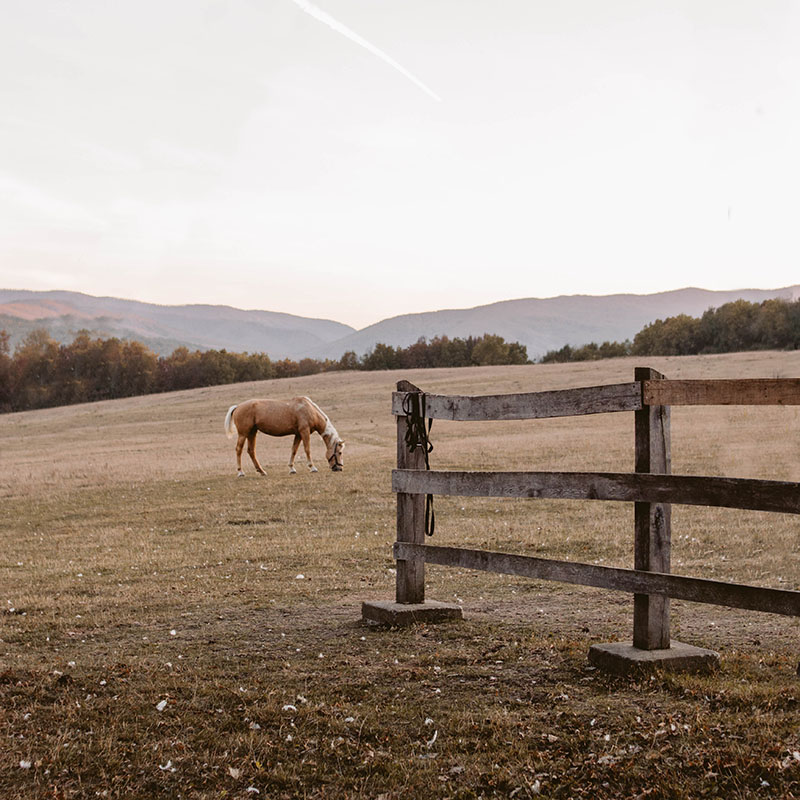 Bravo Fence Company