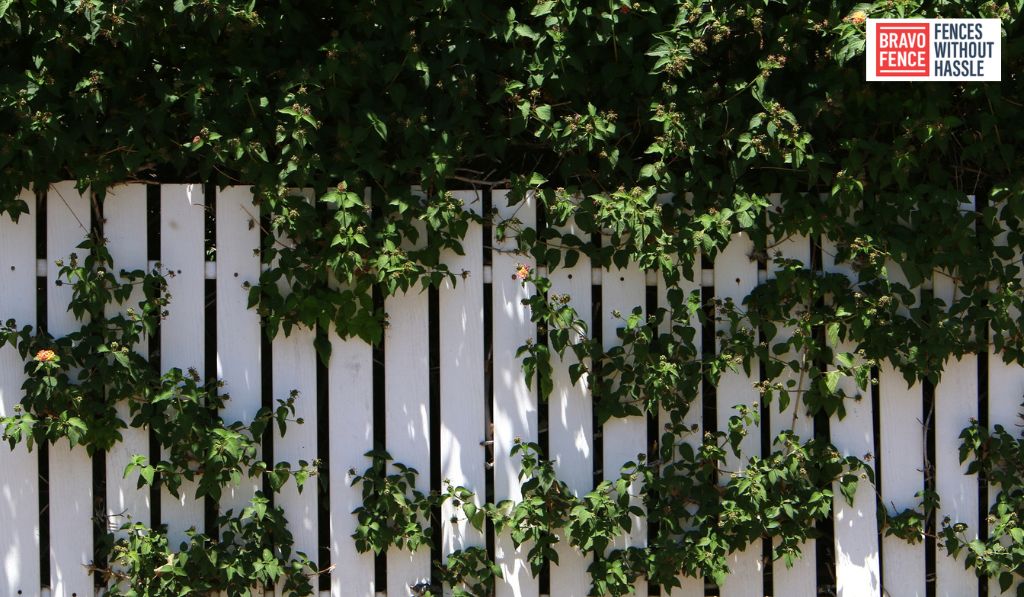 Vinings Fence Company