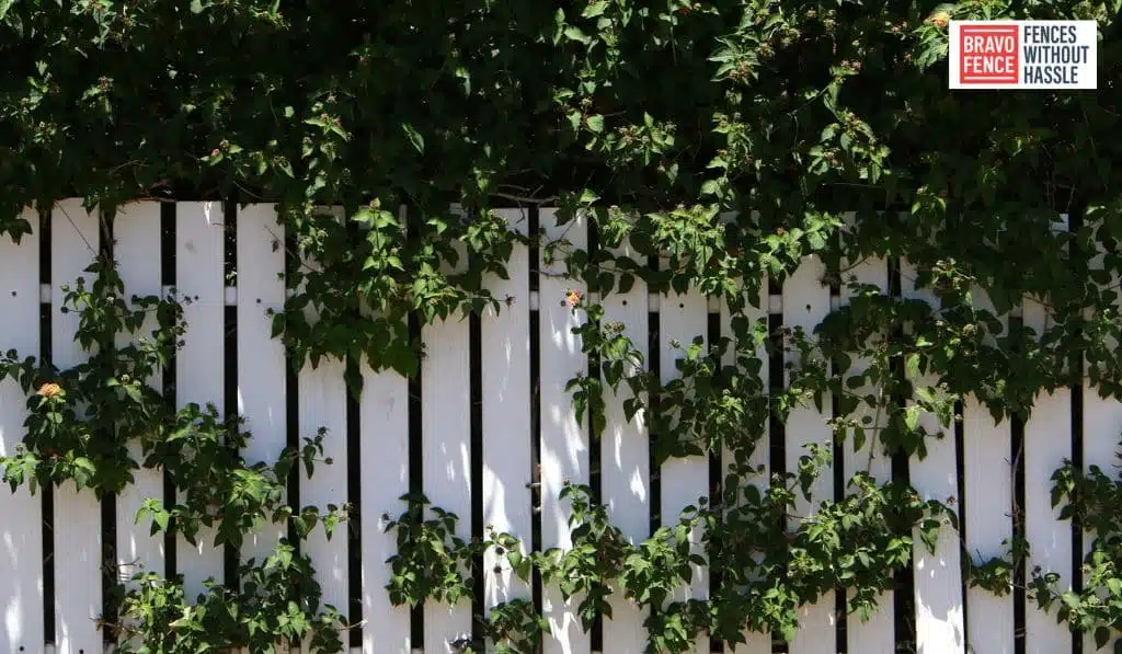 Vinings Fence Company