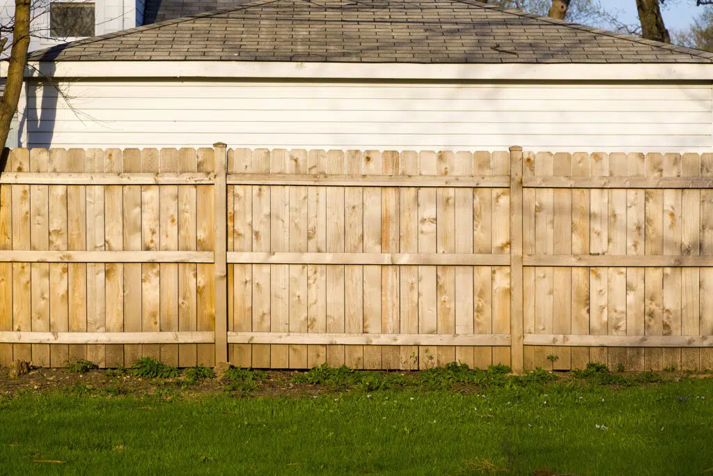 Privacy Fence