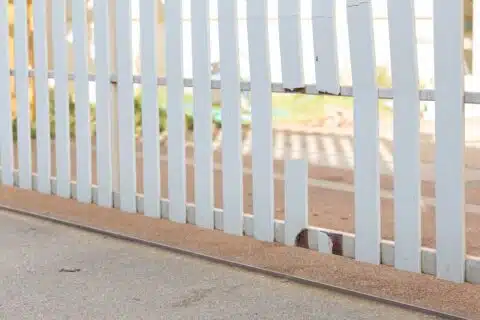 Fence Repair