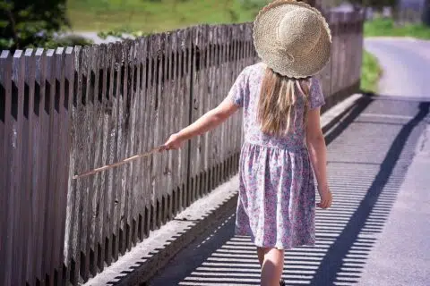 Fence Height
