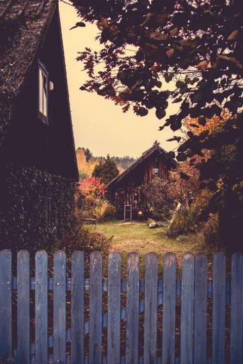 Autumn Fence