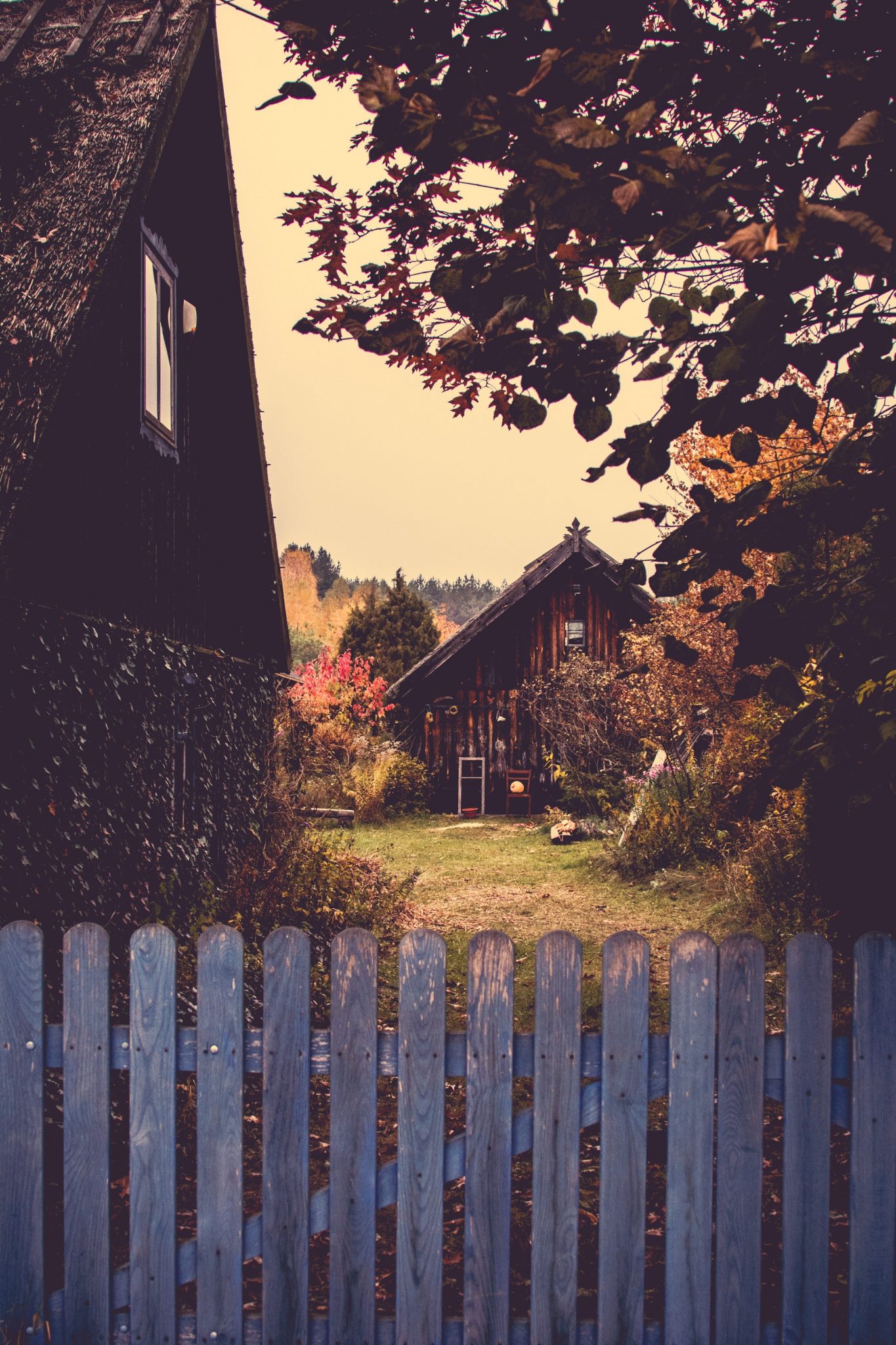 Backyard fence