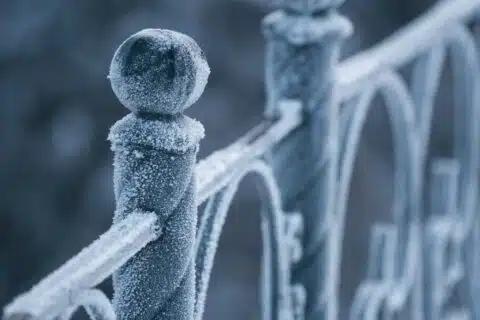 fence in winter
