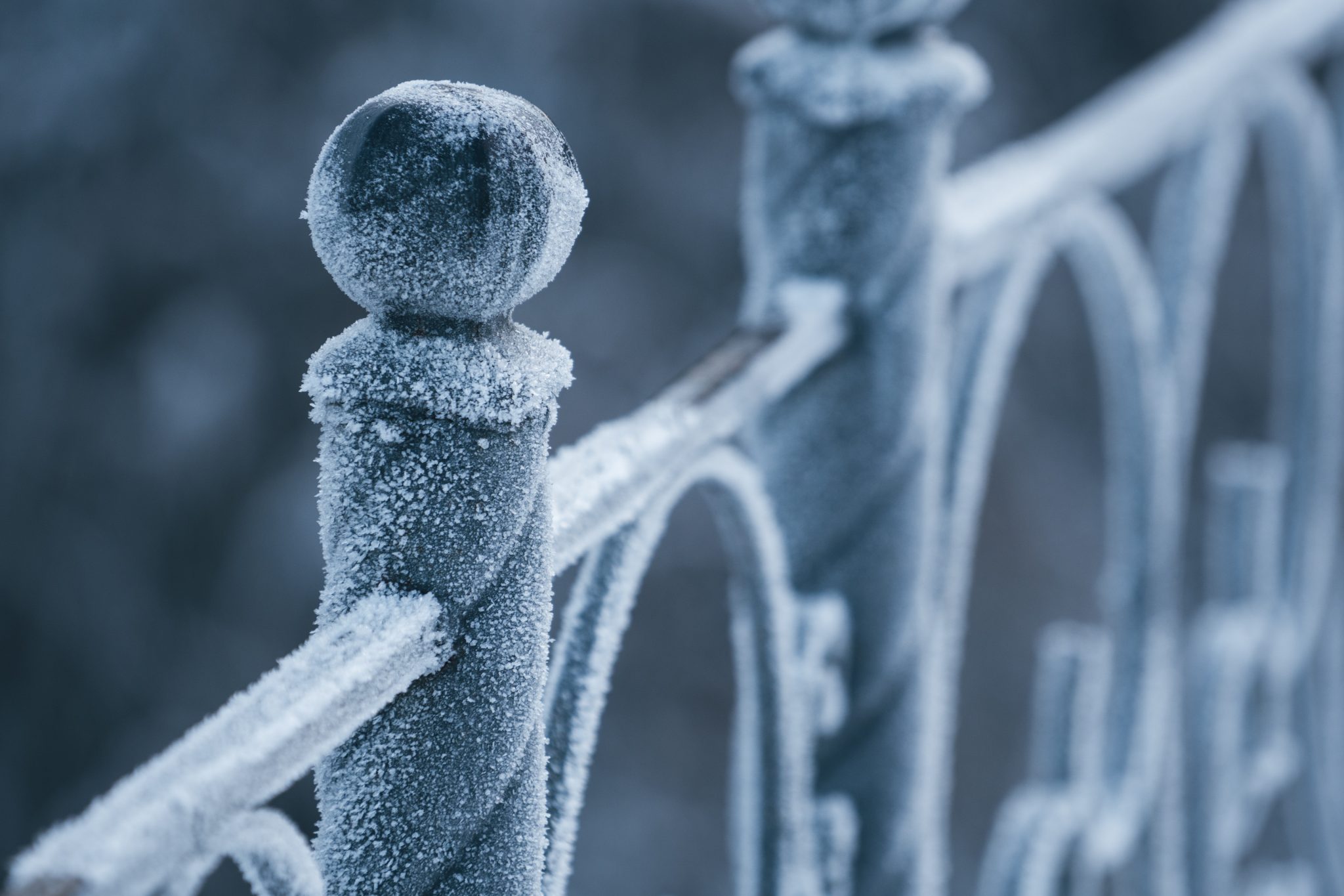 fence in winter