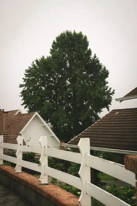Vinyl vs. Wood Fence