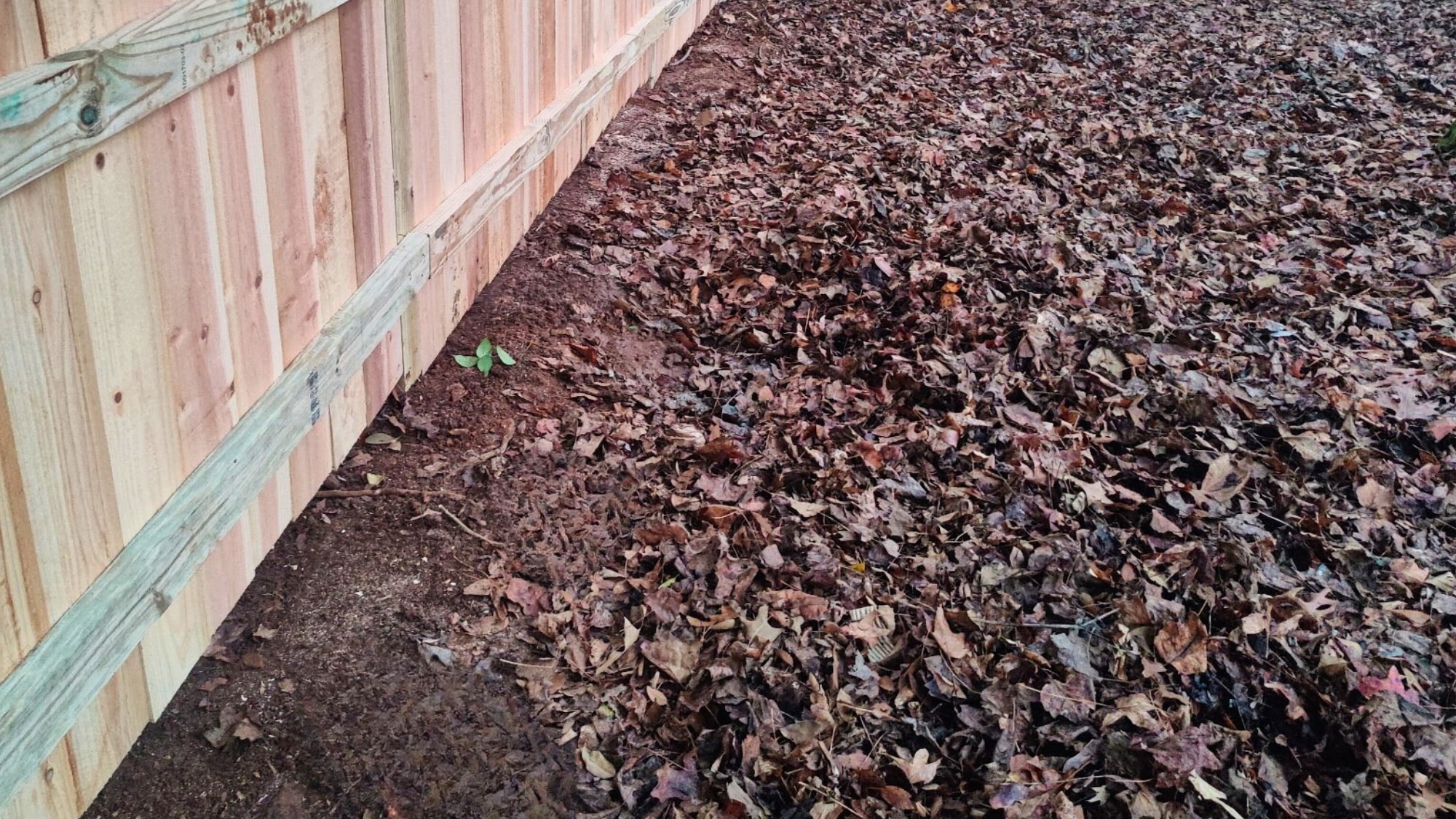 Expert Fence Company 