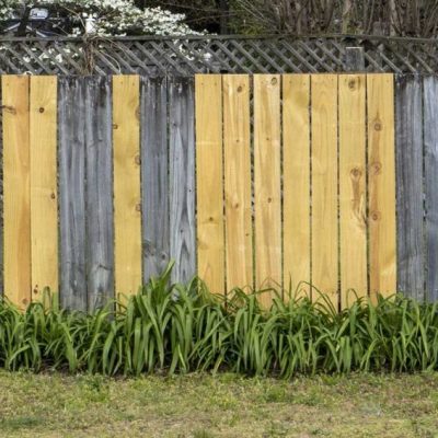 should-you-repair-or-replace-your-fence-scaled-1